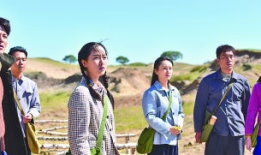 美丽的电视剧,探寻电视剧中的美丽世界