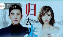 电视剧归去来大结局,命运交织，终章揭秘，爱恨情仇终成空